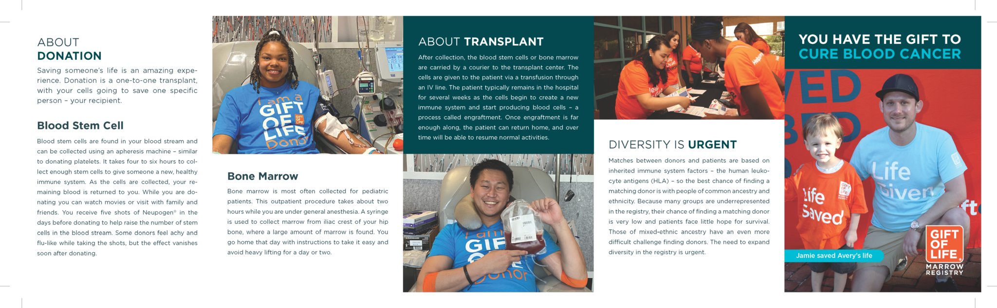 National Bone Marrow Donor Program Women S League For Conservative