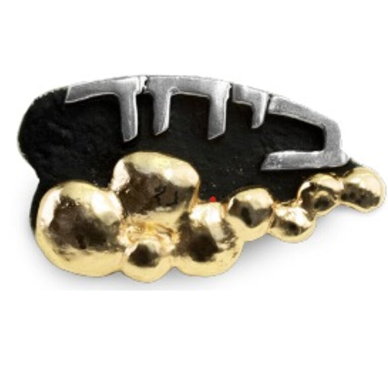 torah-fund-pin-2021